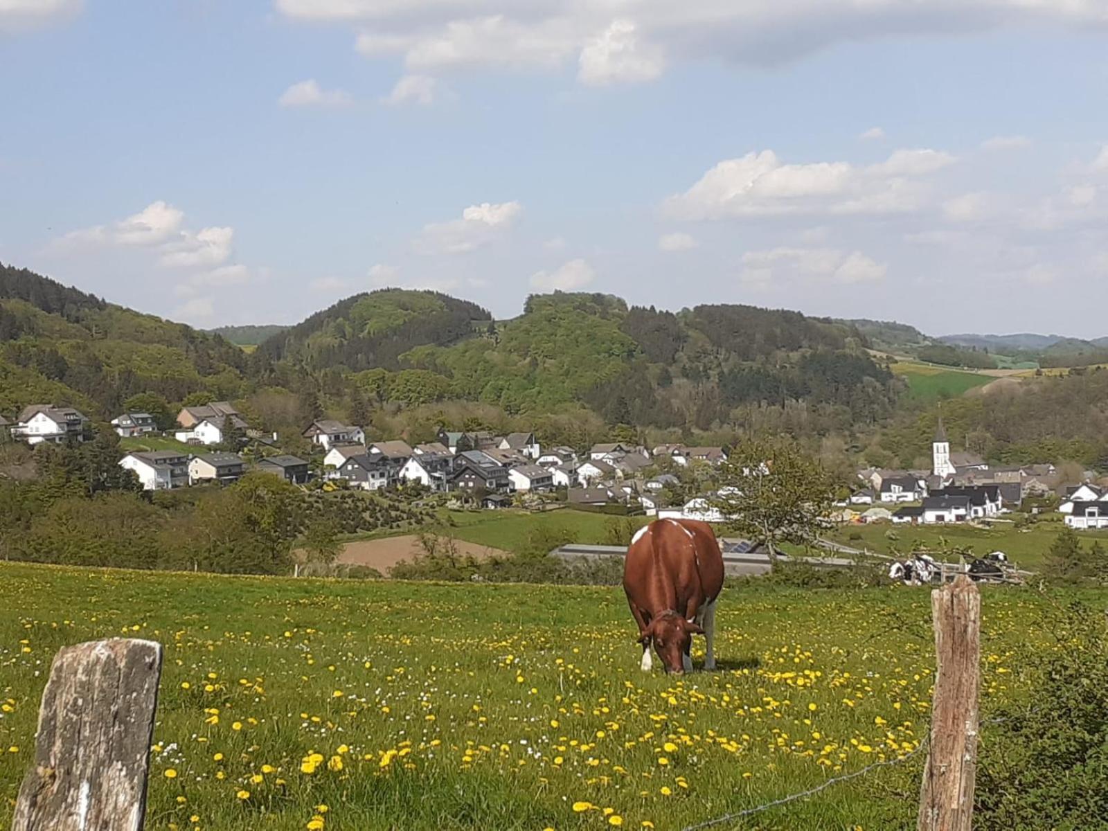 Ferienwohnungen Sternenhimmel Whg 1 Medebach Eksteriør billede